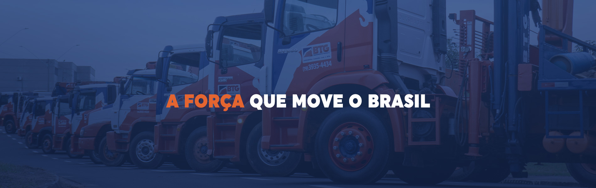 move-o-Brasil-2